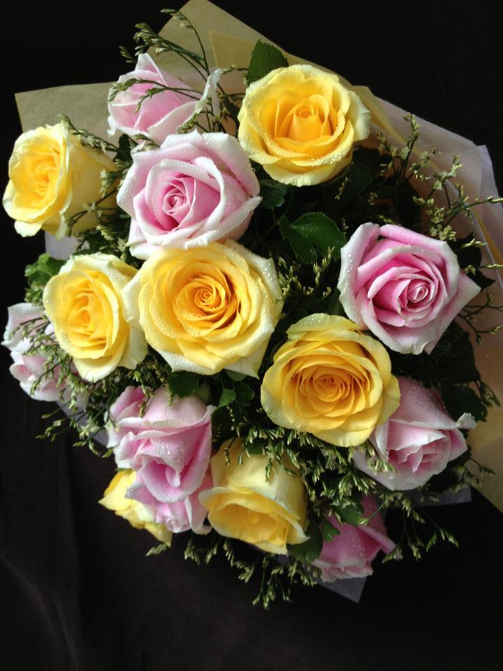 Rose 10