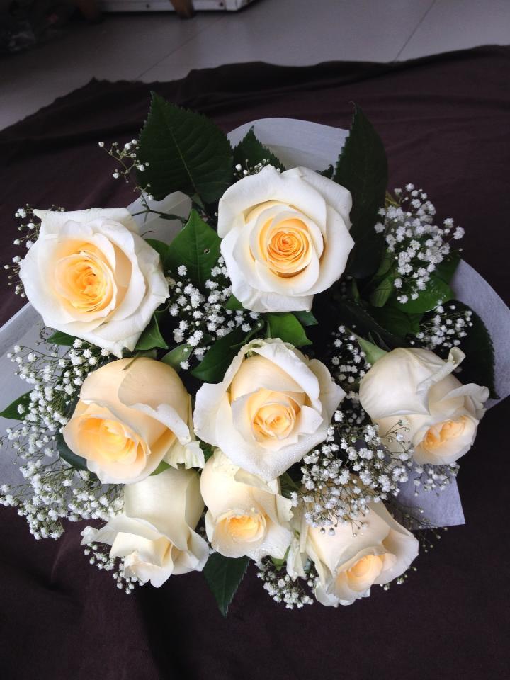 Rose 11
