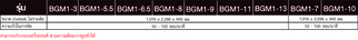 เครื่องขัดเงา BGW