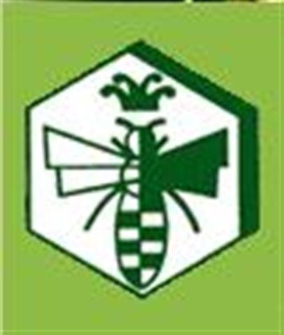 Logo (Small)