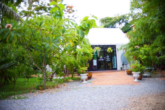 The Garden Eatery