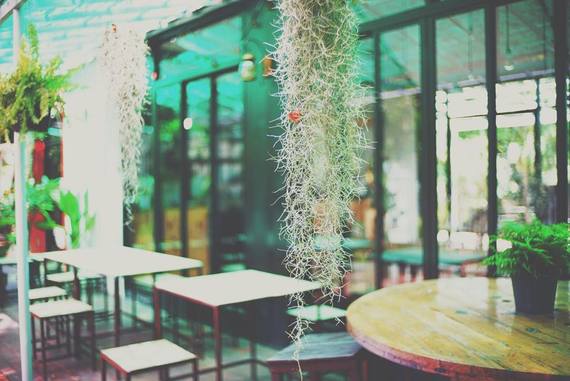 The Garden Eatery