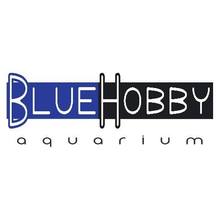 BLUE HOBBY Aquarium - ปลา-ตู้และอุปกรณ์ในการเลี้ยง - กรุงเทพมหานคร