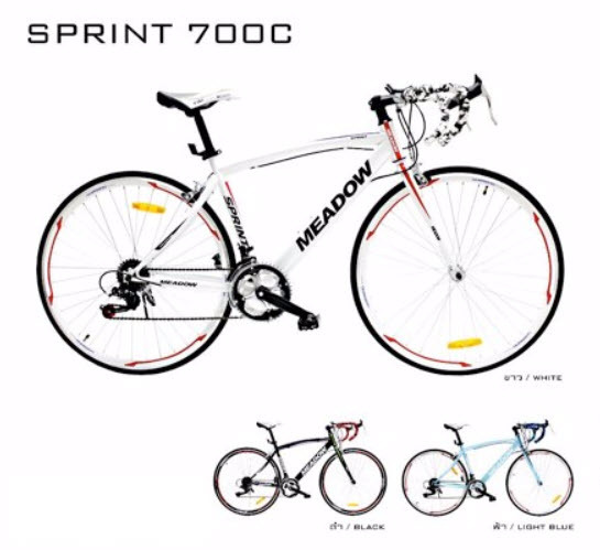 SPRINT 700C