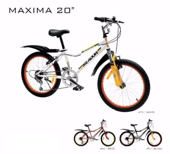 MAXIMA 20"