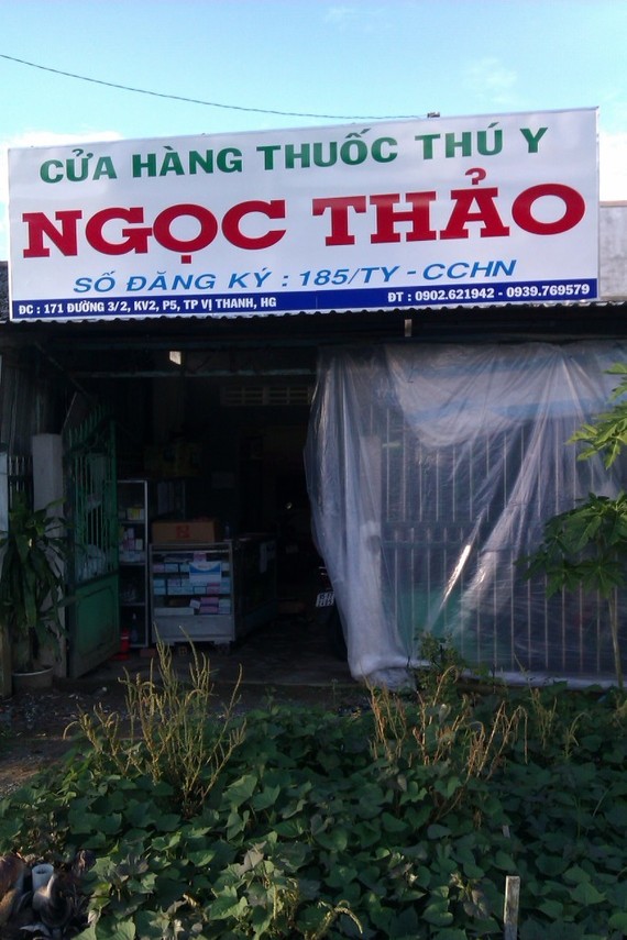 IMAG3986