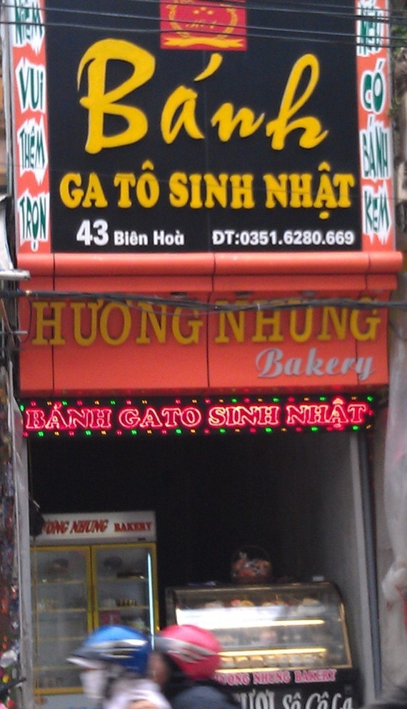 IMAG6184