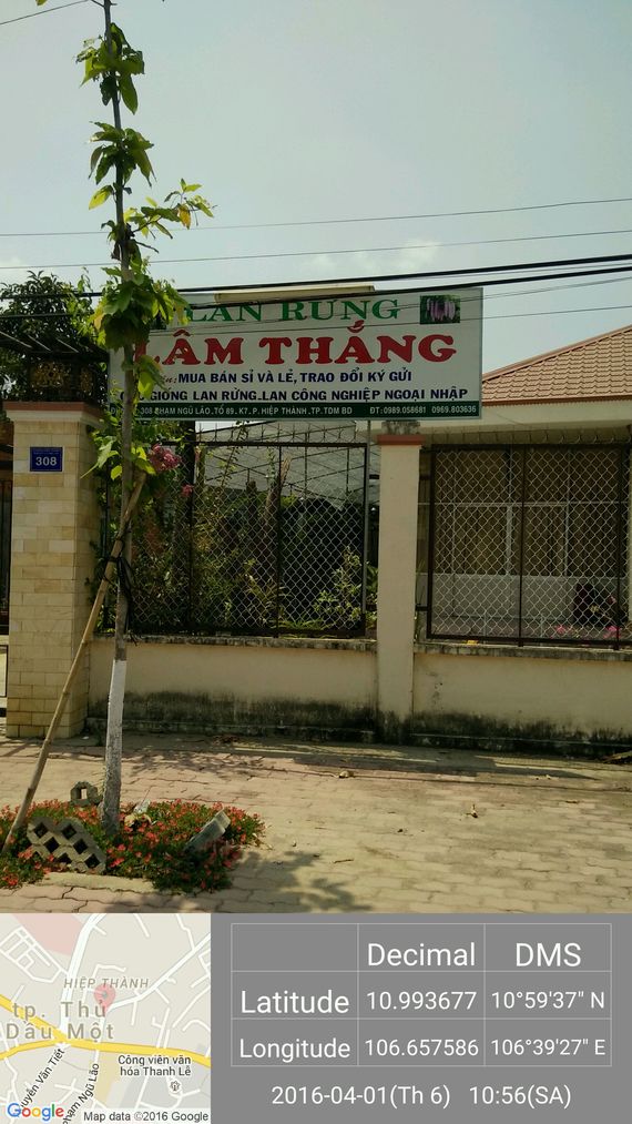 Cửa Hàng Lan Rừng Lâm Thắng