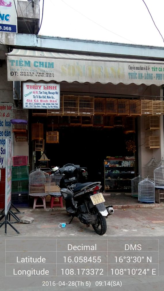 Tiệm Chim Sơn Trang