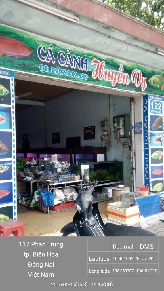 Cửa Hàng Cá Cảnh Huyền Vy