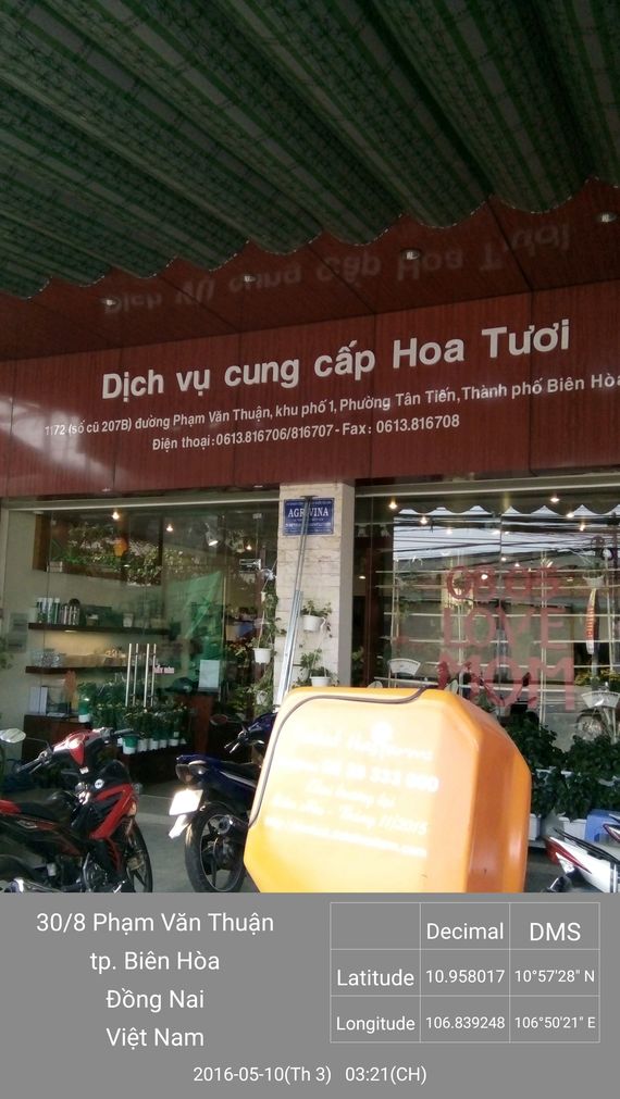 Dịch Vụ Hoa Tươi 