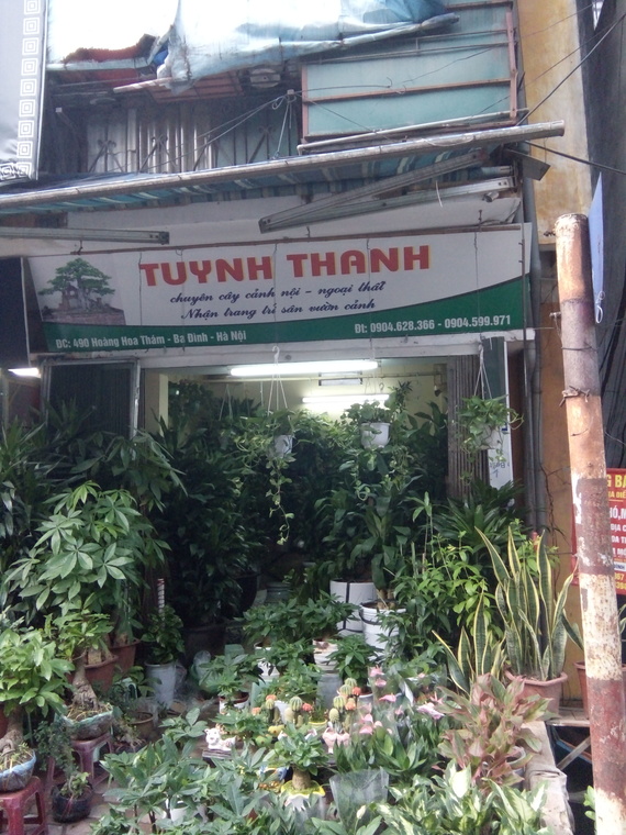 Cửa Hàng Tuynh Thanh