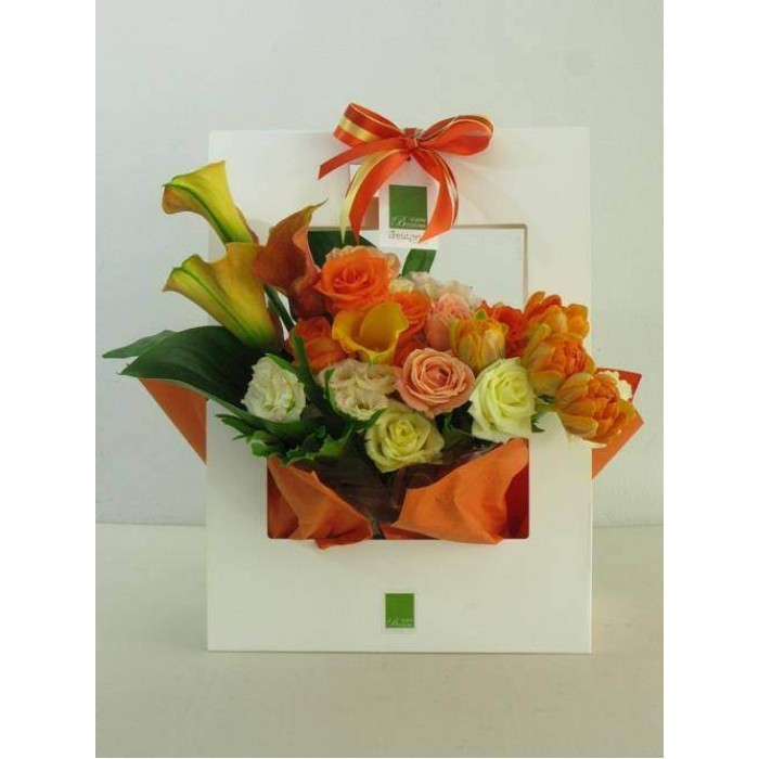 HSN_23