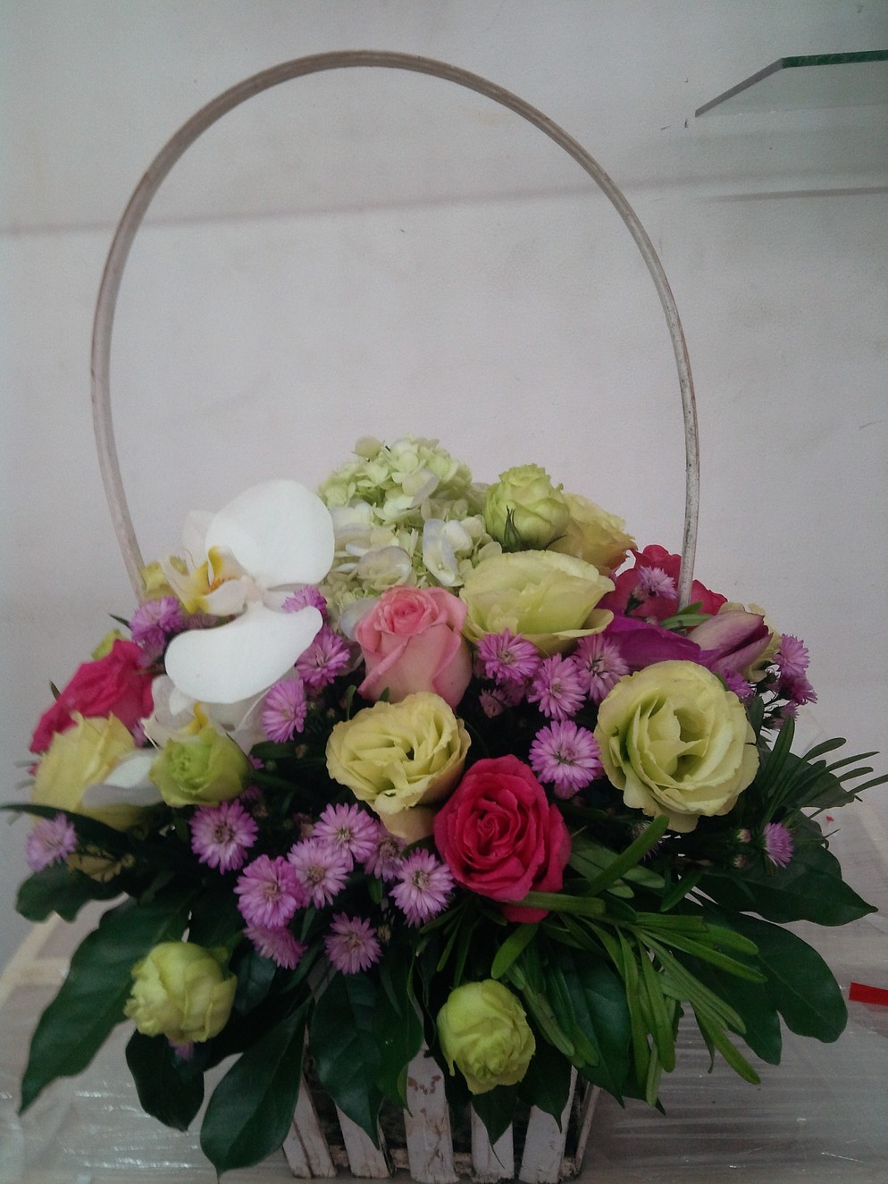 HSN019