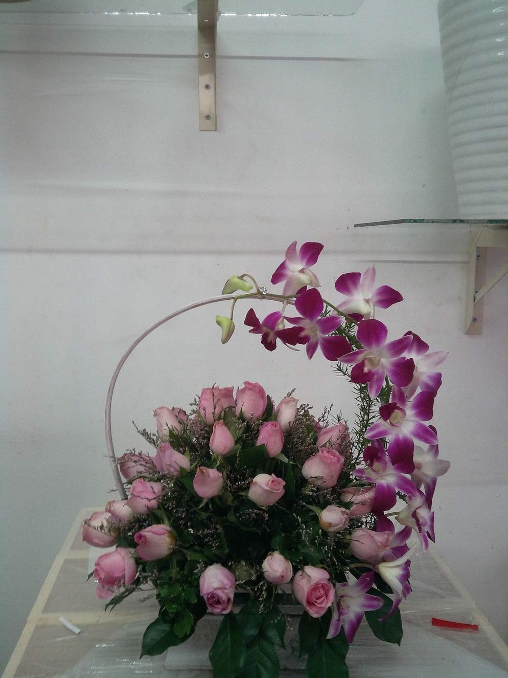 HSN018