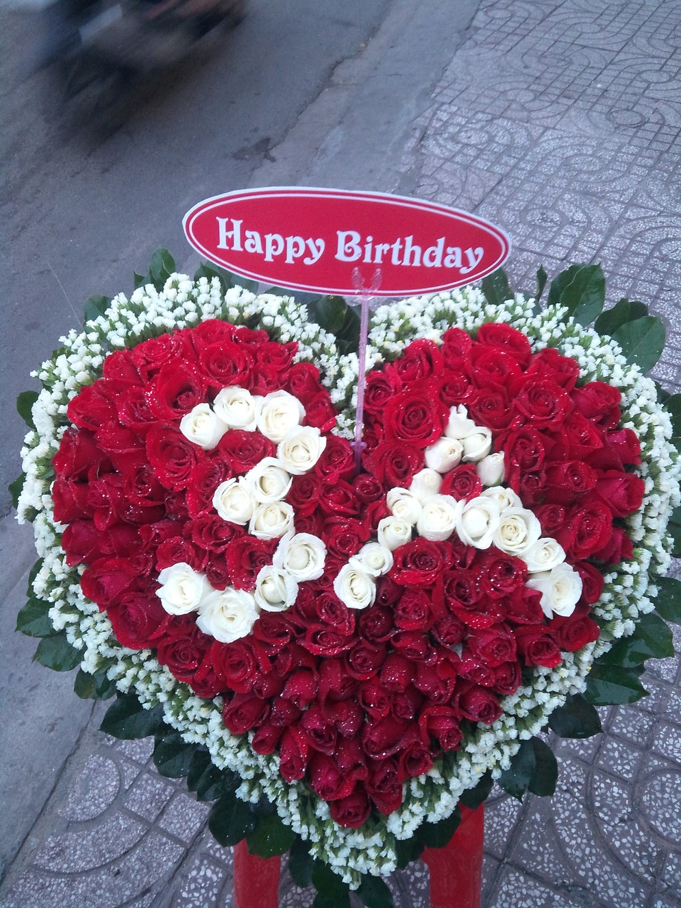 HSN031