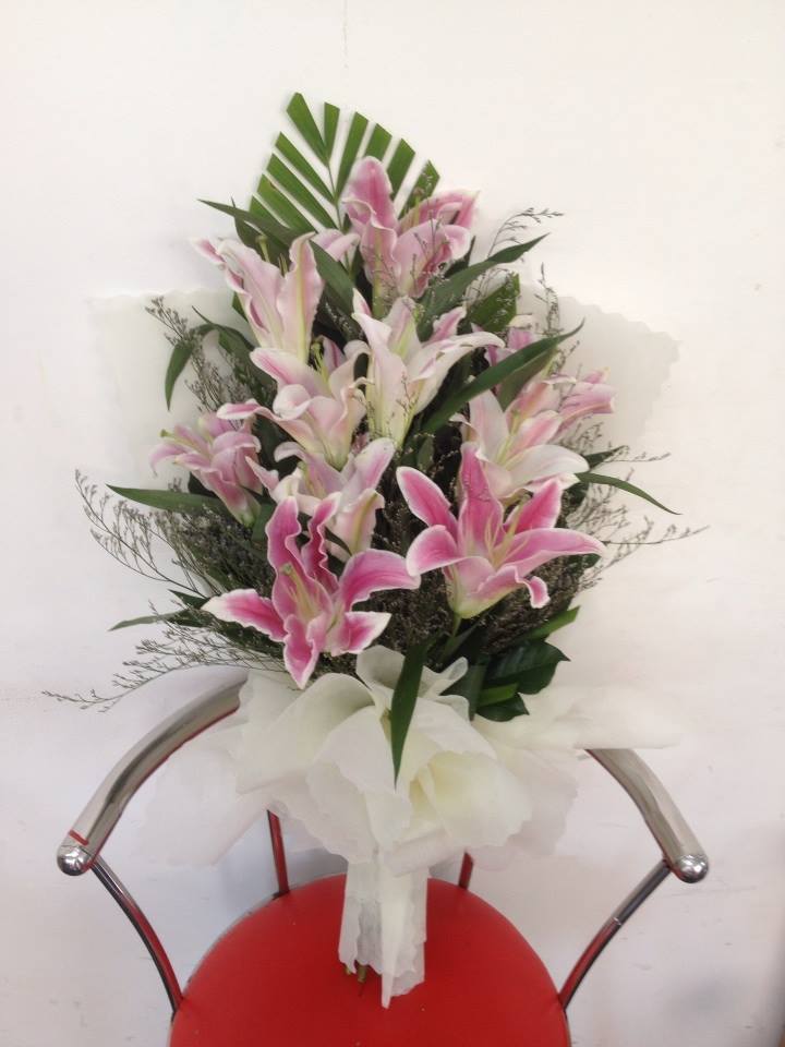 HSN023
