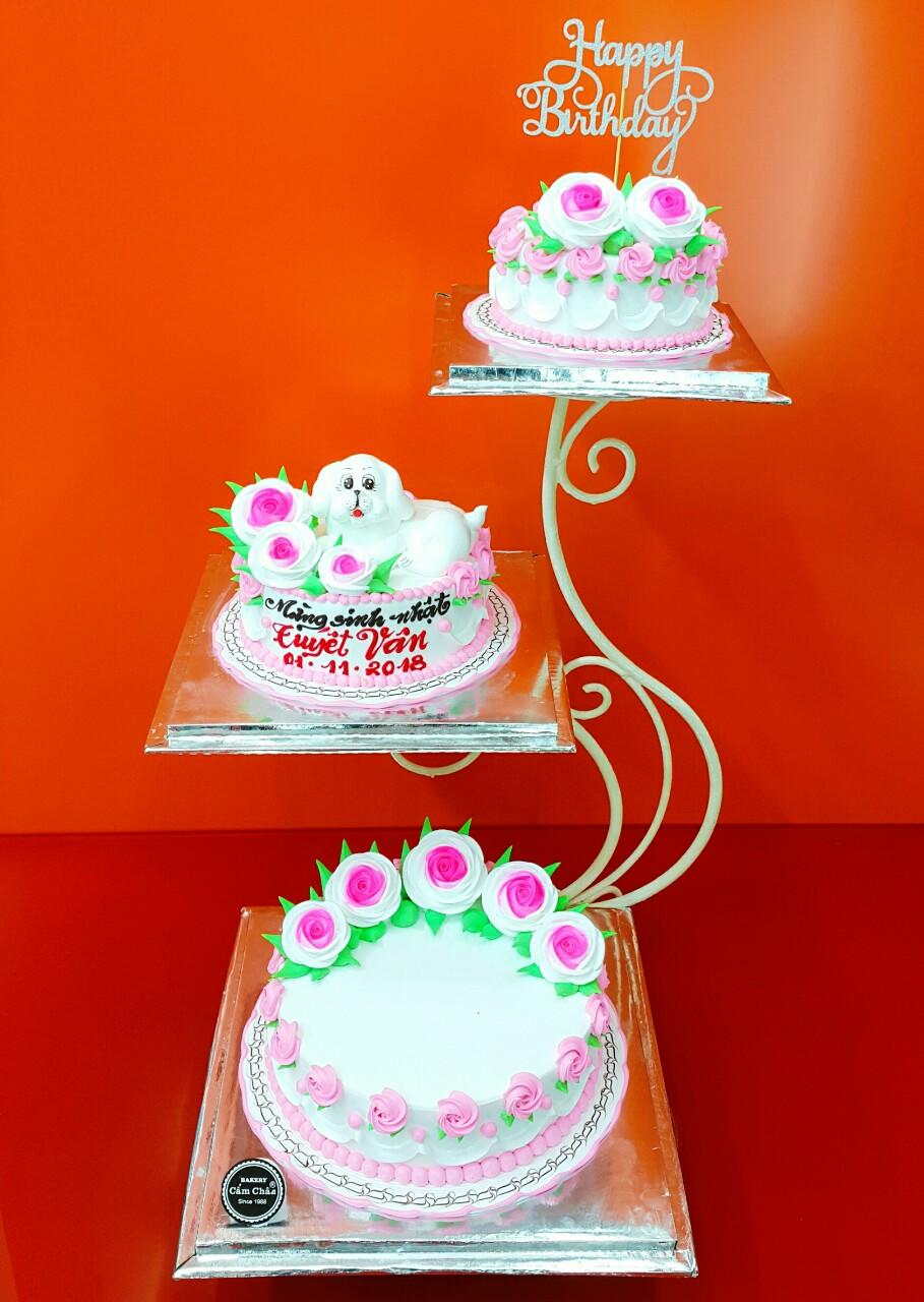Bánh sinh nhật 3 tầng AD181110008