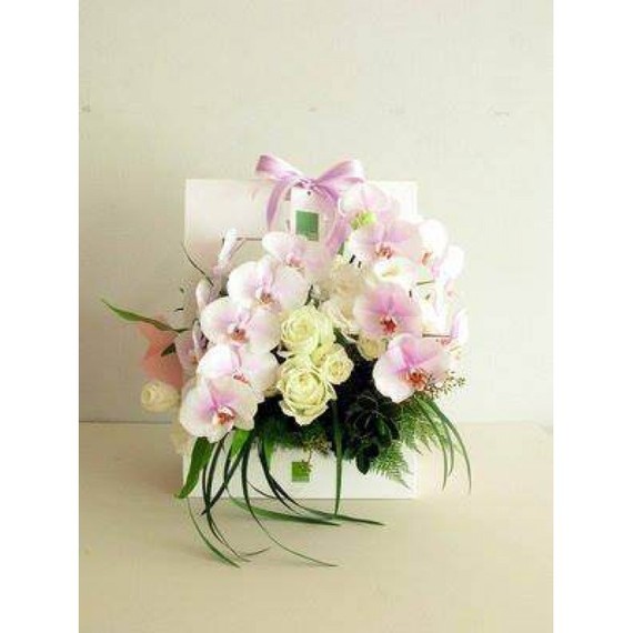 HSN_28