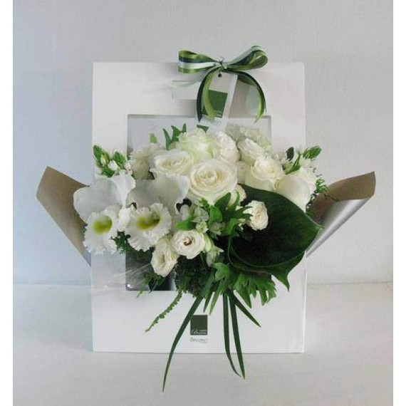 HSN_29