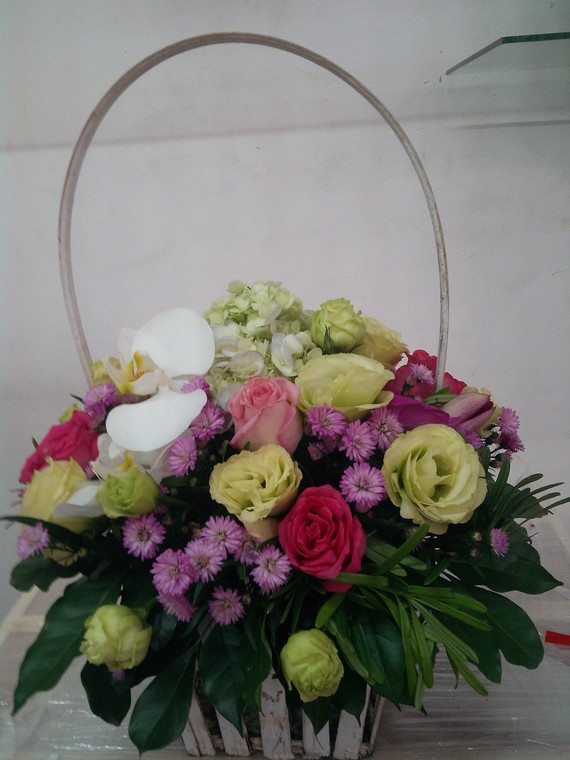 HSN019