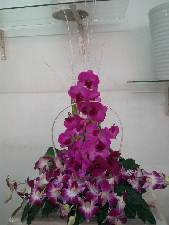 HSN013