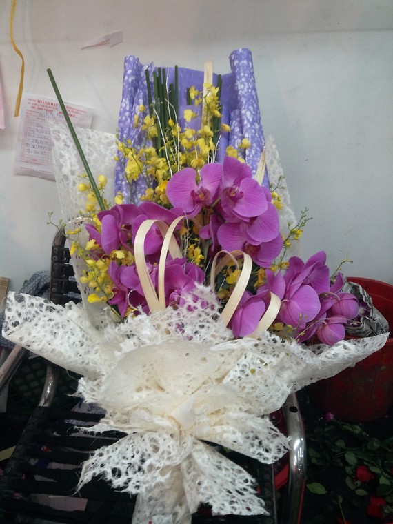 HSN023