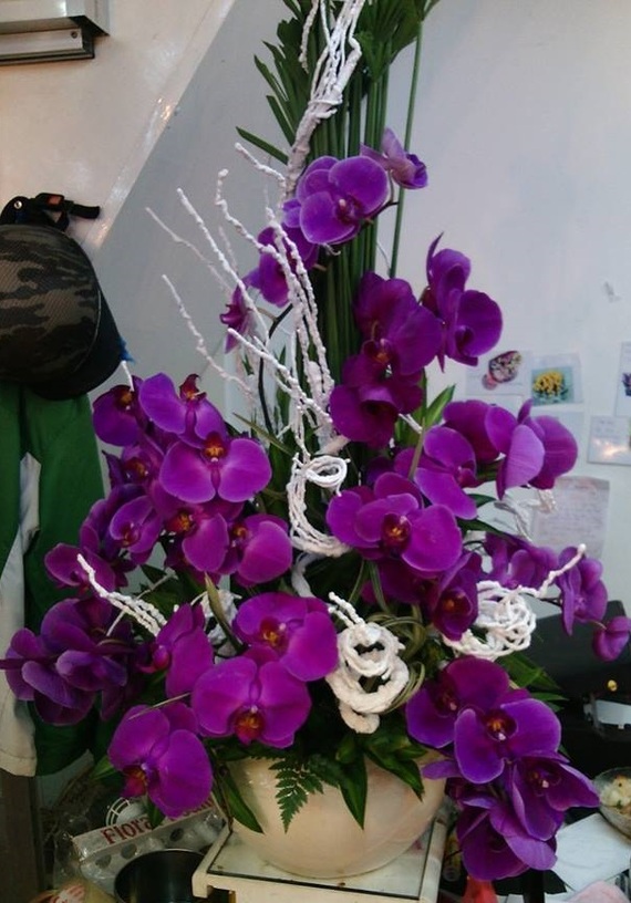 HSN 038