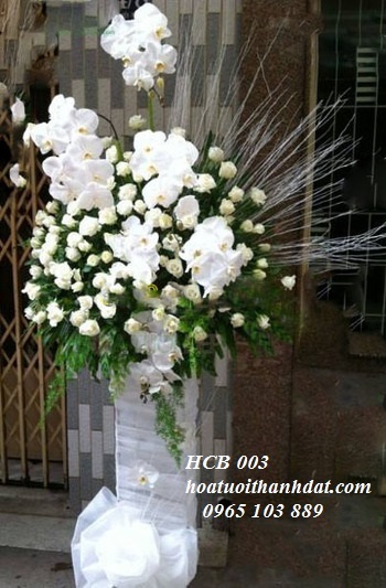 HCB 003